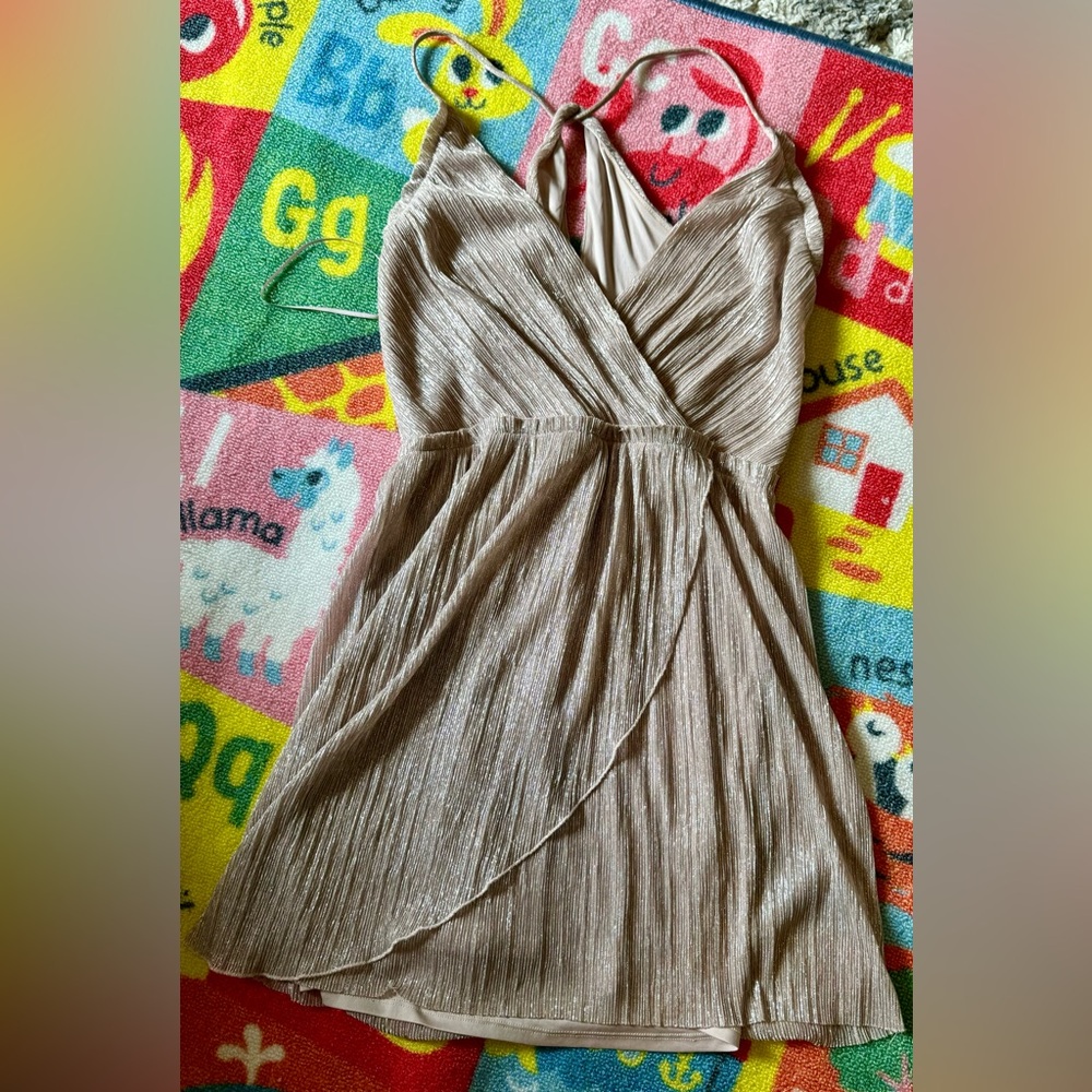 Size Small Express Dress